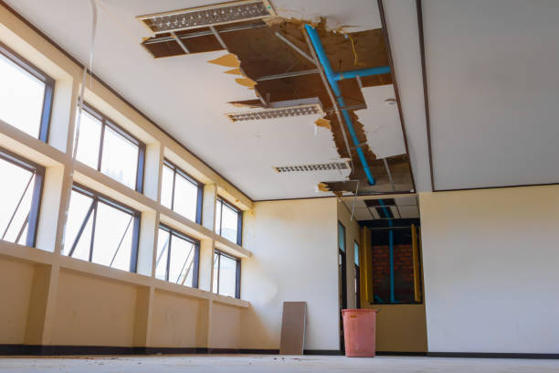 Best Water damage cleanup near me  in Hartsville, TN