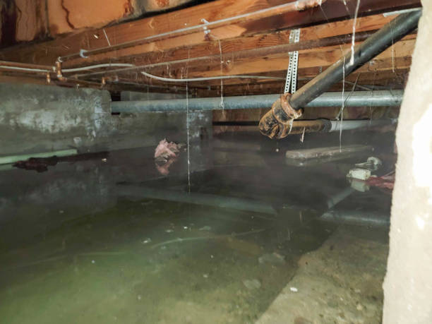 Best 24-hour water damage restoration  in Hartsville, TN