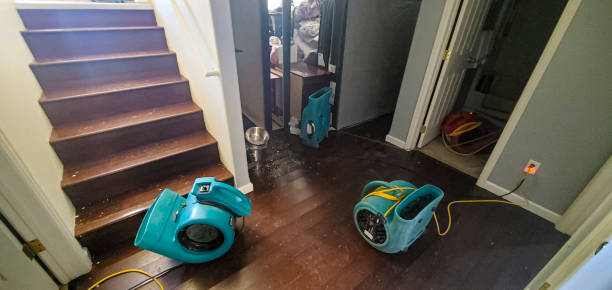 Best Flood damage cleanup  in Hartsville, TN