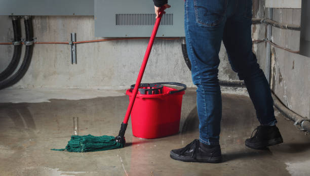Best Water damage restoration near me  in Hartsville, TN
