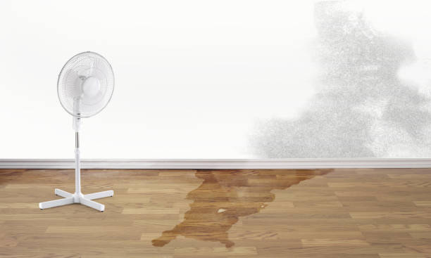 Best Ceiling water damage repair  in Hartsville, TN