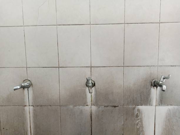 Best Emergency water damage restoration  in Hartsville, TN