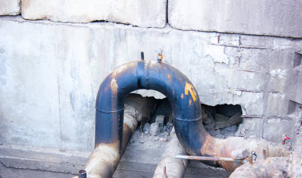 Best Water damage cleanup near me  in Hartsville, TN
